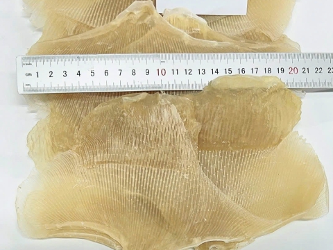 Dried Stingray