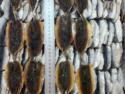 Dried Herring