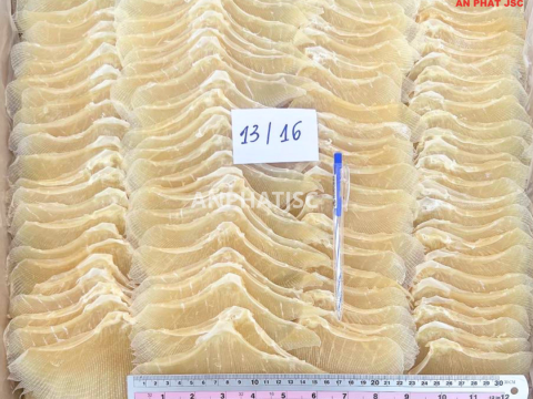 DRIED STINGRAY