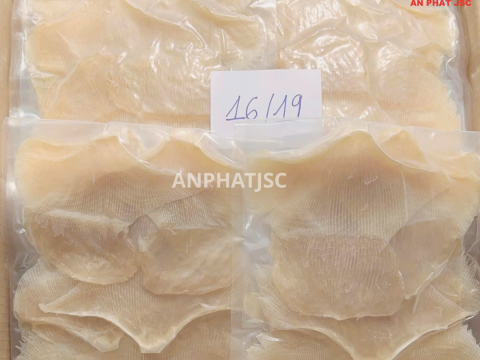 DRIED STINGRAY