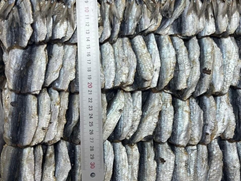 Dried Herring