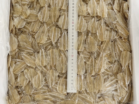 Dried White Sardine Fish