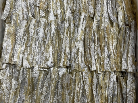 DRIED SEASONED HAIRTAIL FISH 