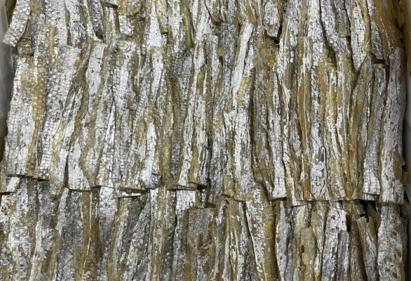 DRIED SEASONED HAIRTAIL FISH 