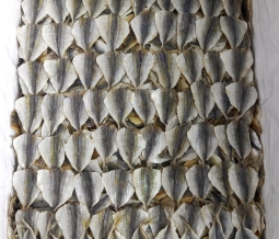 Dried Yellow Stripe Trevally 