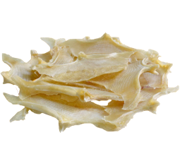 Dried Stingray