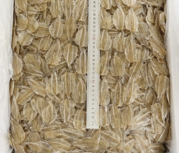 Dried White Sardine Fish