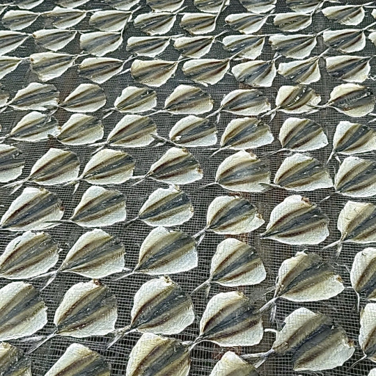 Dried Yellow Stripe Trevally 