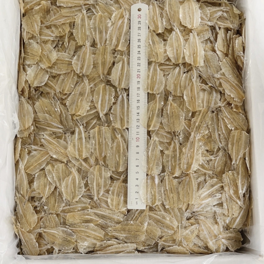 Dried White Sardine Fish