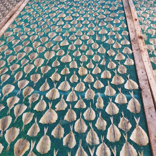Dried Yellow Stripe Trevally 
