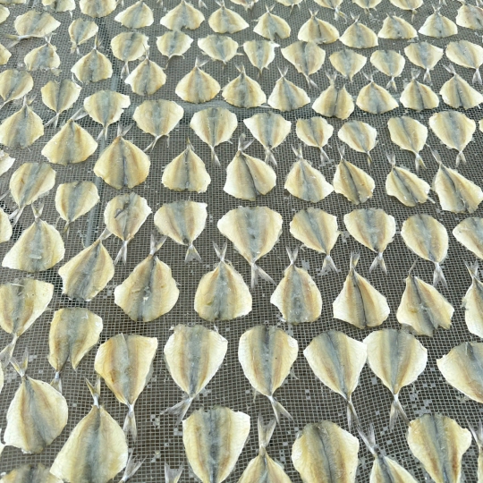 Dried Yellow Stripe Trevally 